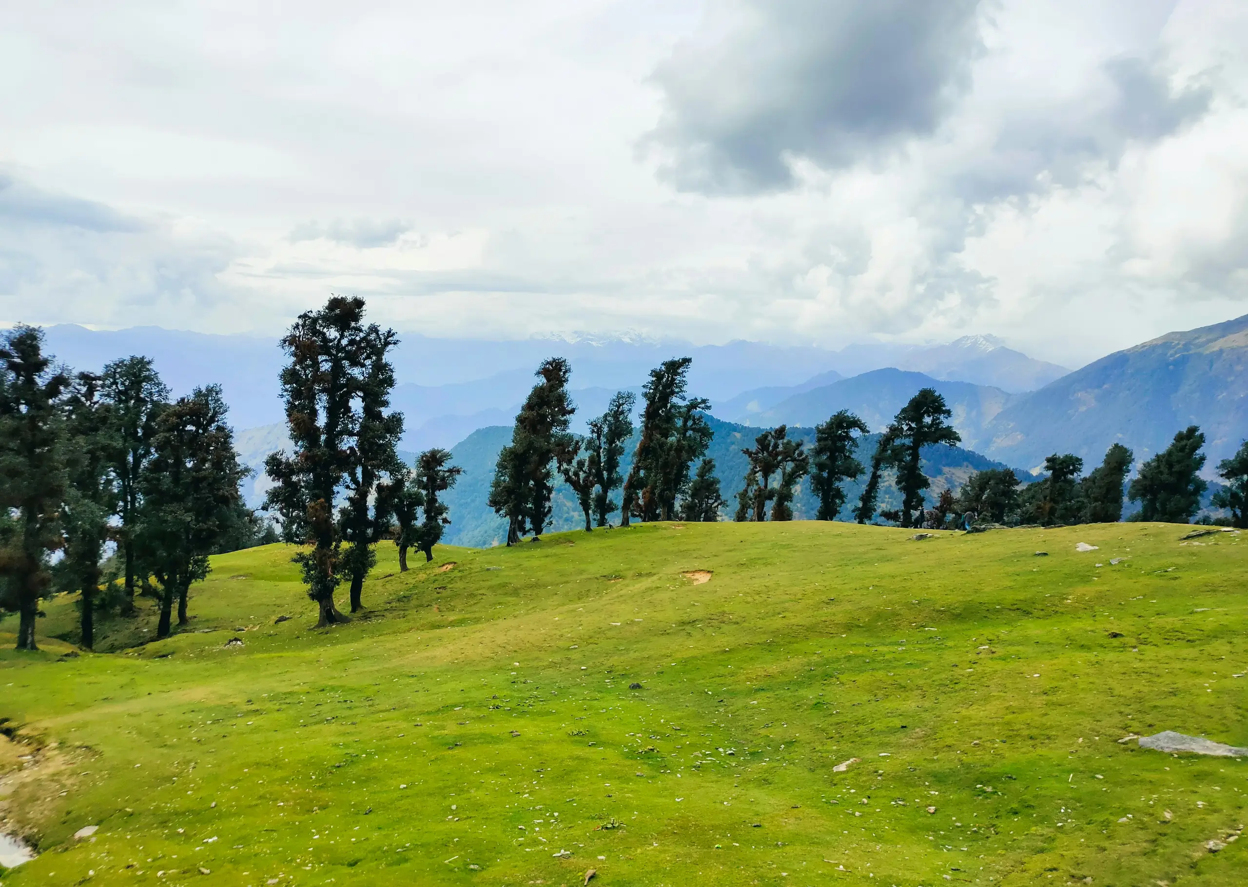 Chopta Mini Switzerland Trek - Featured
